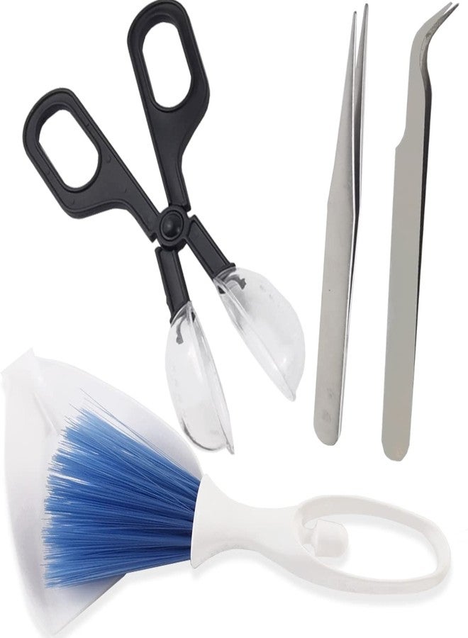 NSBELL Reptile Scooper Feeding Tool, Mini Dustpan and Brush, Straight and Curved Stainless Steel Tweezers for Reptile, Hedgehog, Hamsters, Guinea Pig, Rat, Lizard and Other Small Animals Supplies - Image 1